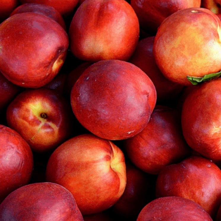 'Flavortop' Nectarine Florae Farms